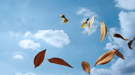 Breathe Life Healing Centers