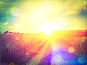 Physical Effects of Methamphetamine