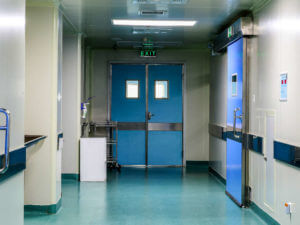 Body Dysmorphic Disorder Causes