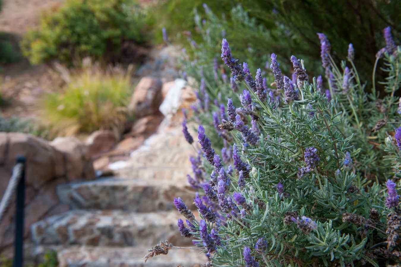 LA Breathe-0149_edited