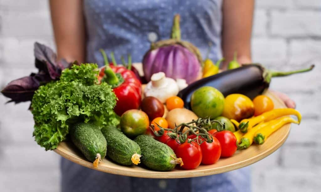 Woman holding a plate filled with a variety of healthy foods, depicting the obsession with healthy eating characteristic of orthorexia.